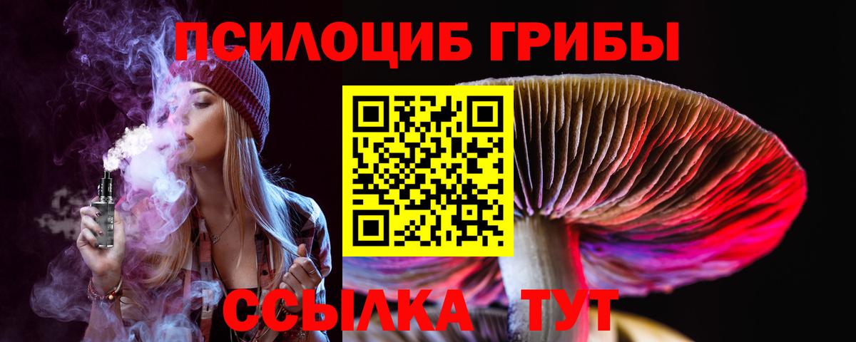 Псилоцибиновые грибы прущие грибы Мирный